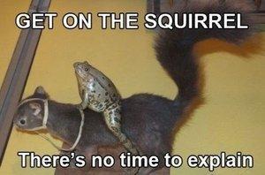Get on the Squirrel